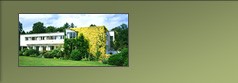renovations and building maintenance